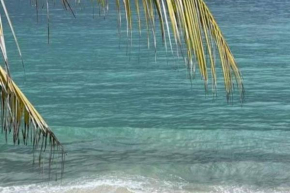 Anse à l'Ane - Spacieux T2 - Vue d'exception